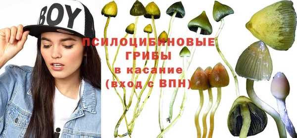 круглые Алексеевка